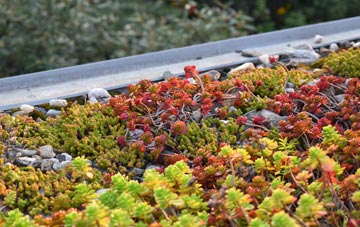 the cost of Wibtoft green roof installation